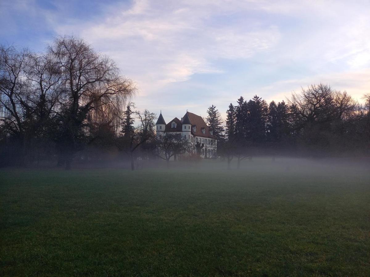 Chateau De Werde Matzenheim Экстерьер фото