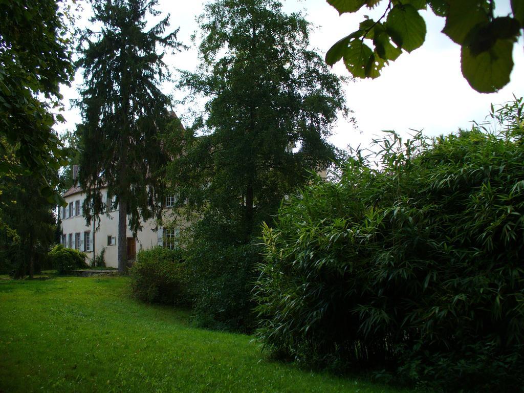 Chateau De Werde Matzenheim Экстерьер фото