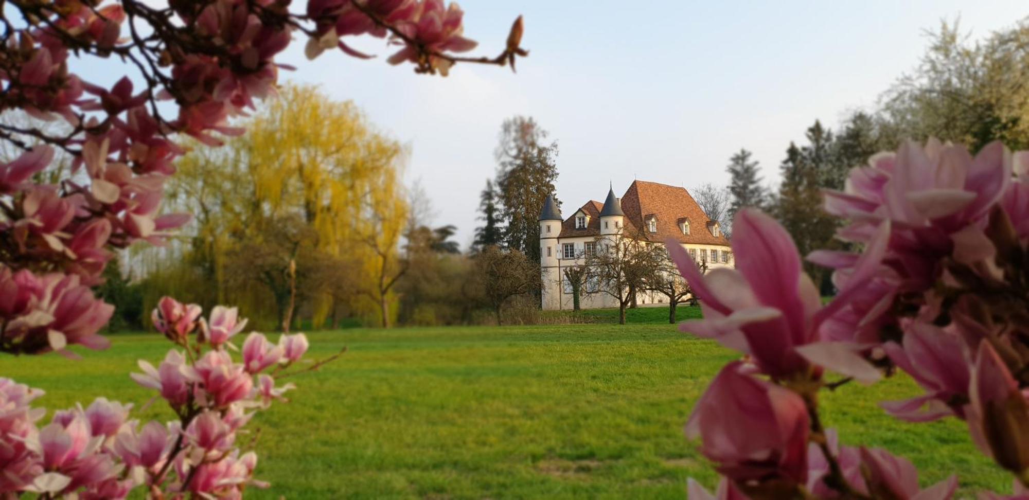 Chateau De Werde Matzenheim Экстерьер фото