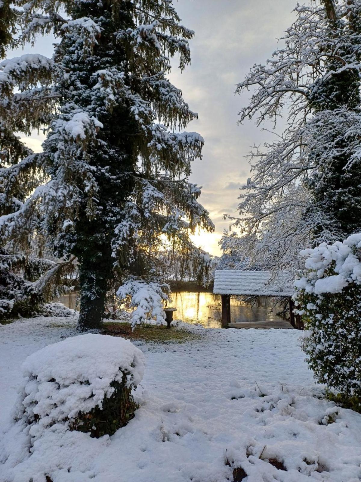 Chateau De Werde Matzenheim Экстерьер фото
